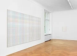 Chambered Shells and Birdwings — Cheyney Thompson — Exhibitions — Galerie Buchholz — Image 53