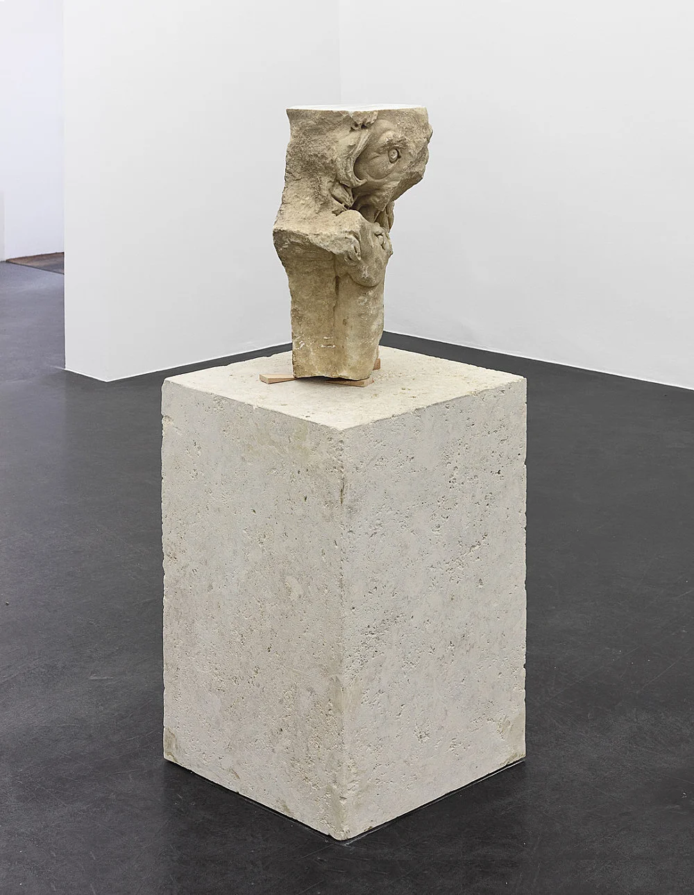 Danh Vo Peter Hujar, Köln 2015 — Danh Vo Peter Hujar — Exhibitions — Galerie Buchholz — Image 16