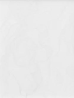 Chambered Shells and Birdwings — Cheyney Thompson — Exhibitions — Galerie Buchholz — Image 75