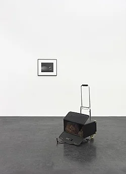 Danh Vo Peter Hujar, Köln 2015 — Danh Vo Peter Hujar — Exhibitions — Galerie Buchholz — Image 46