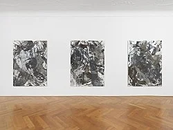 Chambered Shells and Birdwings — Cheyney Thompson — Exhibitions — Galerie Buchholz — Image 58