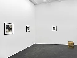 Danh Vo Peter Hujar, Köln 2015 — Danh Vo Peter Hujar — Exhibitions — Galerie Buchholz — Image 51