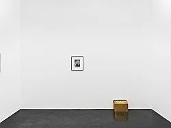 Danh Vo Peter Hujar, Köln 2015 — Danh Vo Peter Hujar — Exhibitions — Galerie Buchholz — Image 54