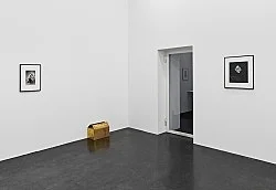 Danh Vo Peter Hujar, Köln 2015 — Danh Vo Peter Hujar — Exhibitions — Galerie Buchholz — Image 57