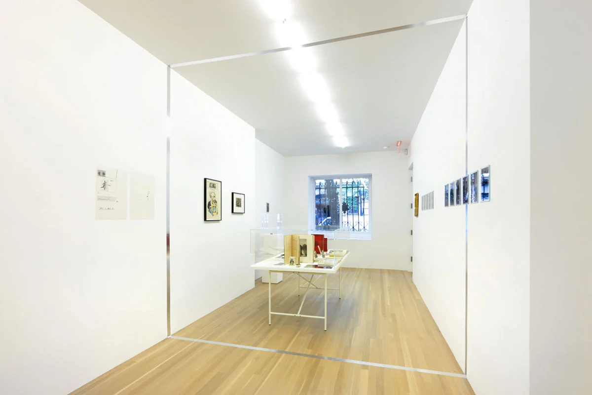 Raymond Roussel New York 2015 — Raymond Roussel — Exhibitions — Galerie Buchholz — Image 29