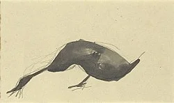 Elie Nadelman Köln 2015 — Elie Nadelman — Exhibitions — Galerie Buchholz — Image 83