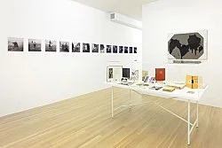 Raymond Roussel New York 2015 — Raymond Roussel — Exhibitions — Galerie Buchholz — Image 149