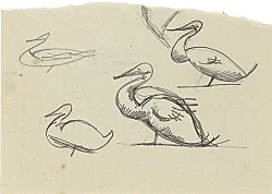 Elie Nadelman Köln 2015 — Elie Nadelman — Exhibitions — Galerie Buchholz — Image 86