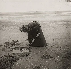 Raymond Roussel New York 2015 — Raymond Roussel — Exhibitions — Galerie Buchholz — Image 154