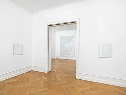 Chambered Shells and Birdwings — Cheyney Thompson — Exhibitions — Galerie Buchholz — Image 43