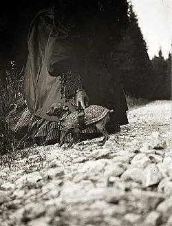 Raymond Roussel New York 2015 — Raymond Roussel — Exhibitions — Galerie Buchholz — Image 161