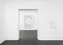 Chambered Shells and Birdwings — Cheyney Thompson — Exhibitions — Galerie Buchholz — Image 65