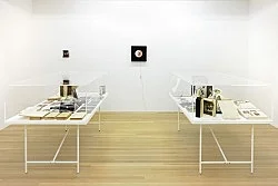 Raymond Roussel New York 2015 — Raymond Roussel — Exhibitions — Galerie Buchholz — Image 200