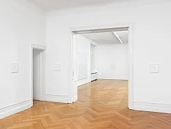 Chambered Shells and Birdwings — Cheyney Thompson — Exhibitions — Galerie Buchholz — Image 49