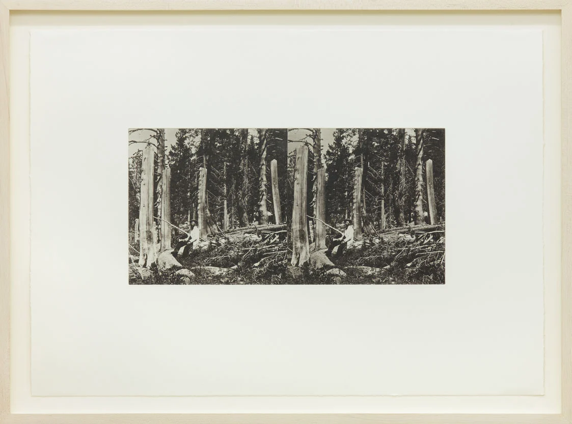 8220afterlife8221 — Julie Ault — Exhibitions — Galerie Buchholz — Image 43