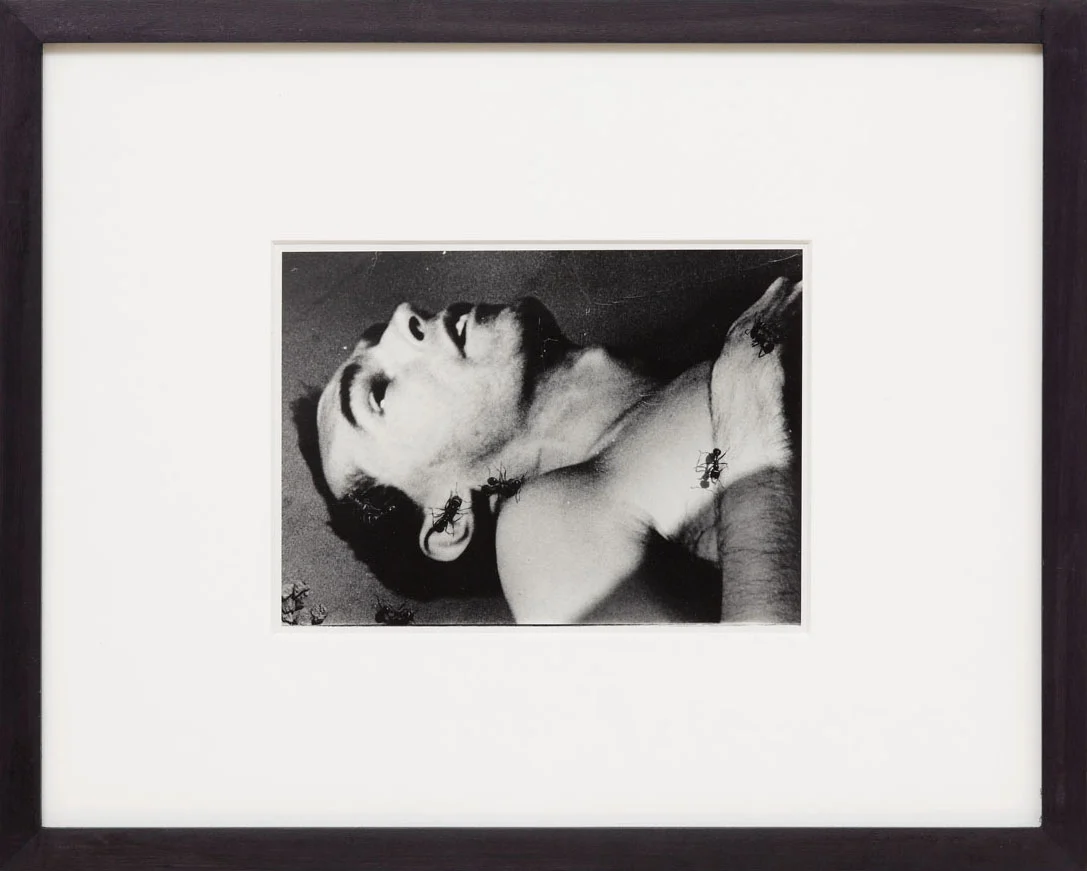8220afterlife8221 — Julie Ault — Exhibitions — Galerie Buchholz — Image 48