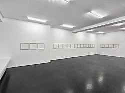Estate — Mathias Poledna — Exhibitions — Galerie Buchholz — Image 257