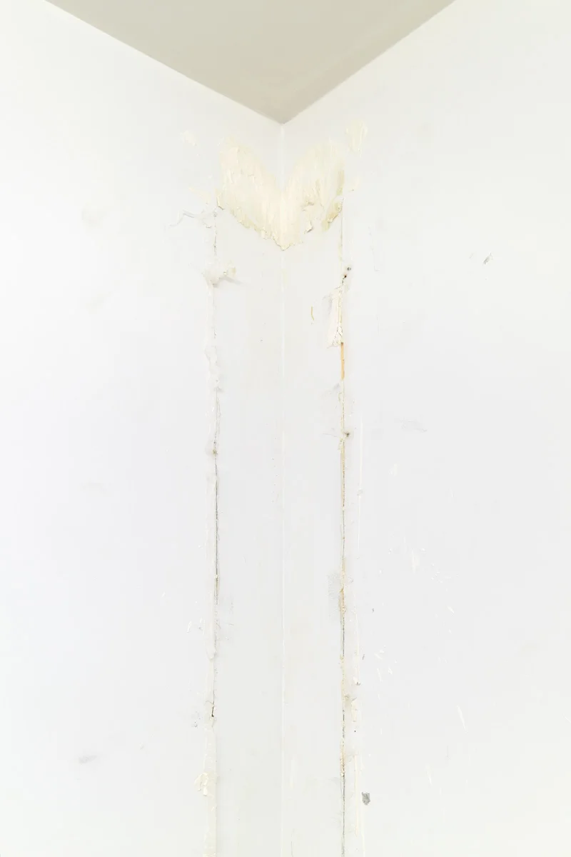 Henrik Olesen New York 2015 — Henrik Olesen — Exhibitions — Galerie Buchholz — Image 06