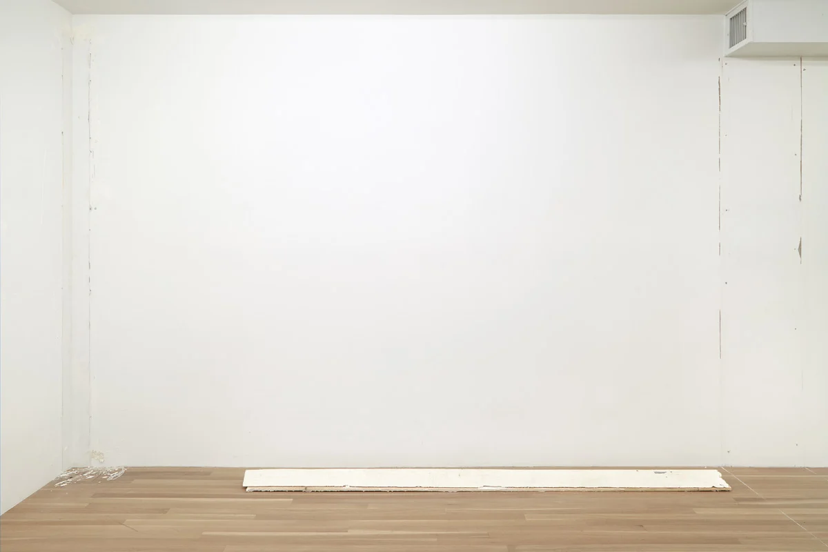 Henrik Olesen New York 2015 — Henrik Olesen — Exhibitions — Galerie Buchholz — Image 14