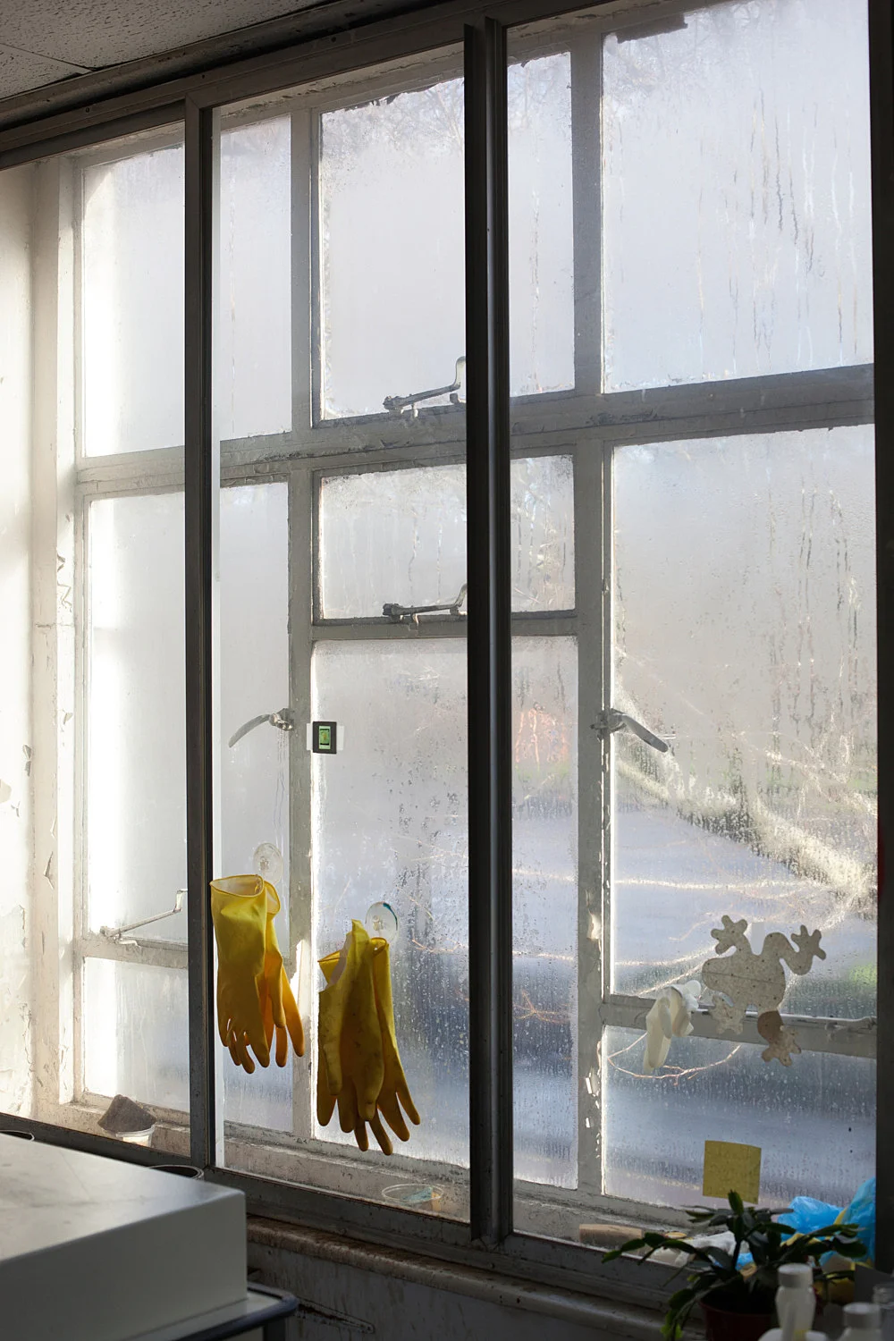 Studio — Wolfgang Tillmans — Exhibitions — Galerie Buchholz — Image 15