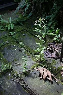 Studio — Wolfgang Tillmans — Exhibitions — Galerie Buchholz — Image 104