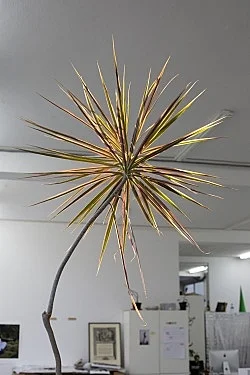 Studio — Wolfgang Tillmans — Exhibitions — Galerie Buchholz — Image 123