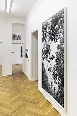 Studio — Wolfgang Tillmans — Exhibitions — Galerie Buchholz — Image 87