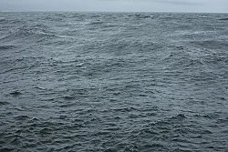 Studio — Wolfgang Tillmans — Exhibitions — Galerie Buchholz — Image 143