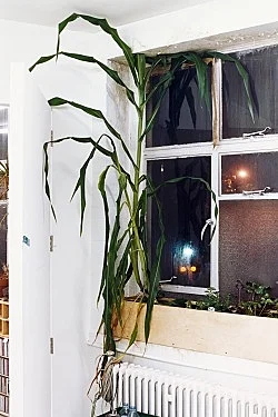 Studio — Wolfgang Tillmans — Exhibitions — Galerie Buchholz — Image 156