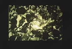 The Sky is thin as paper here — Cerith Wyn Evans — Exhibitions — Galerie Buchholz — Image 19