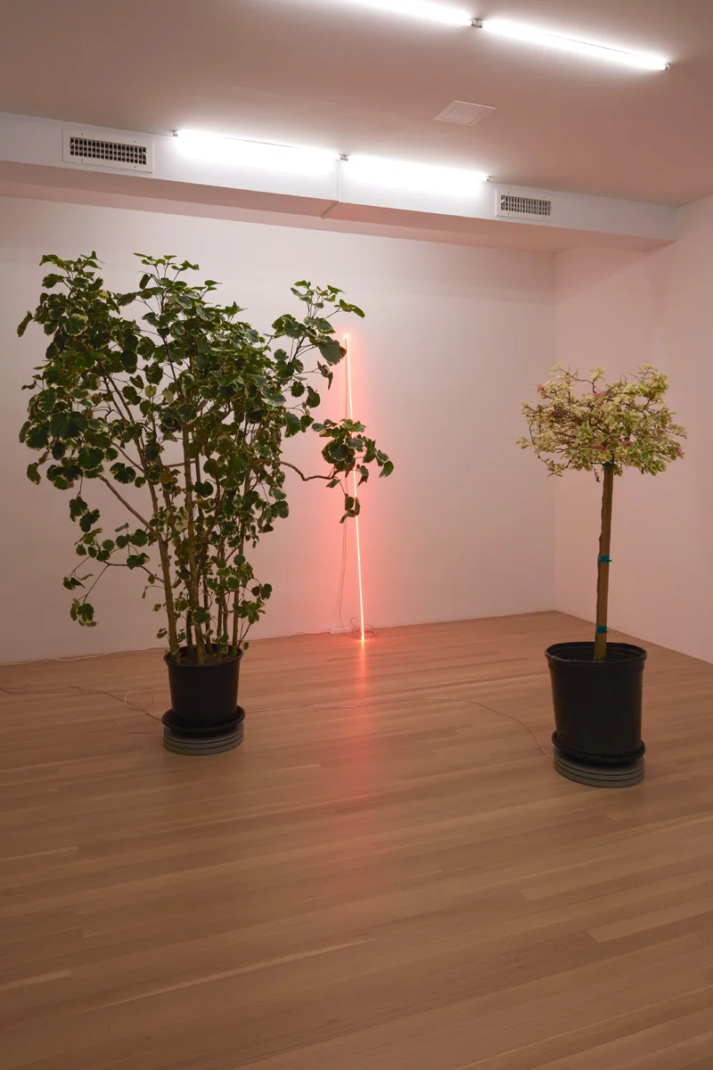 shadefrequency — Cerith Wyn Evans — Exhibitions — Galerie Buchholz — Image 25