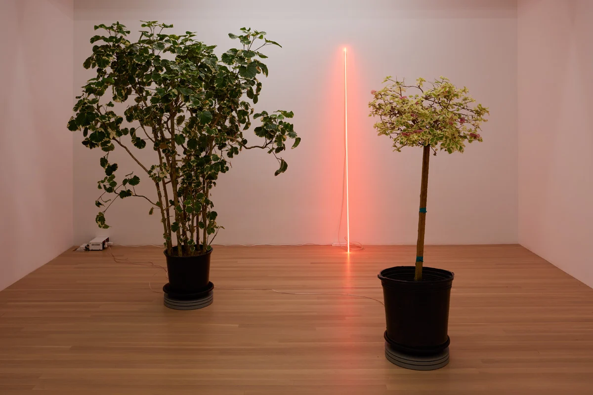 shadefrequency — Cerith Wyn Evans — Exhibitions — Galerie Buchholz — Image 26