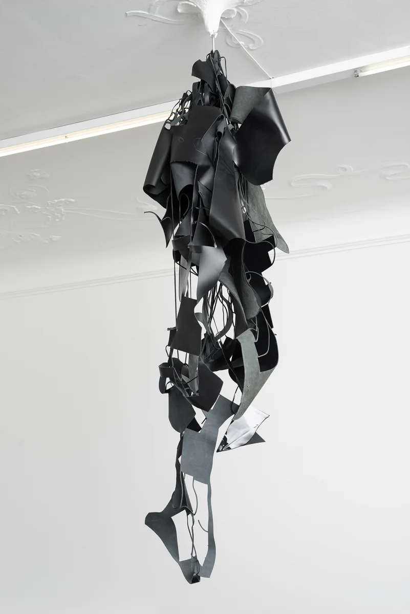 Divine Transportation — Lutz Bacher — Exhibitions — Galerie Buchholz — Image 22