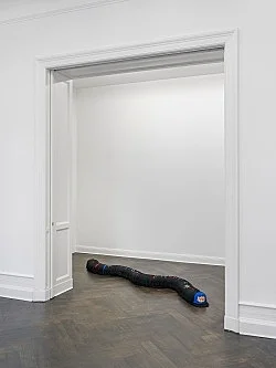 Divine Transportation — Lutz Bacher — Exhibitions — Galerie Buchholz — Image 55