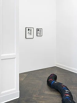 Divine Transportation — Lutz Bacher — Exhibitions — Galerie Buchholz — Image 58