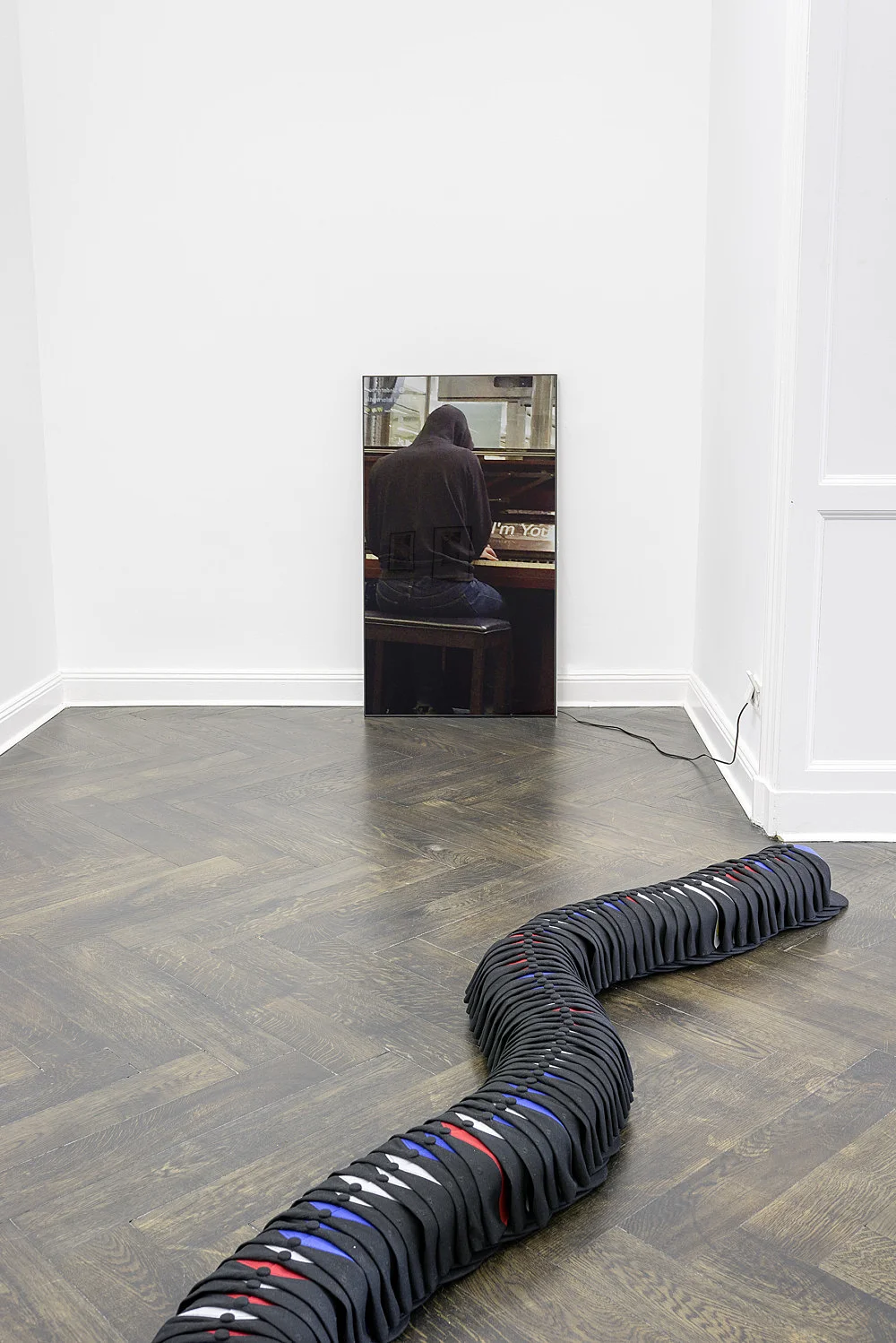 Divine Transportation — Lutz Bacher — Exhibitions — Galerie Buchholz — Image 00