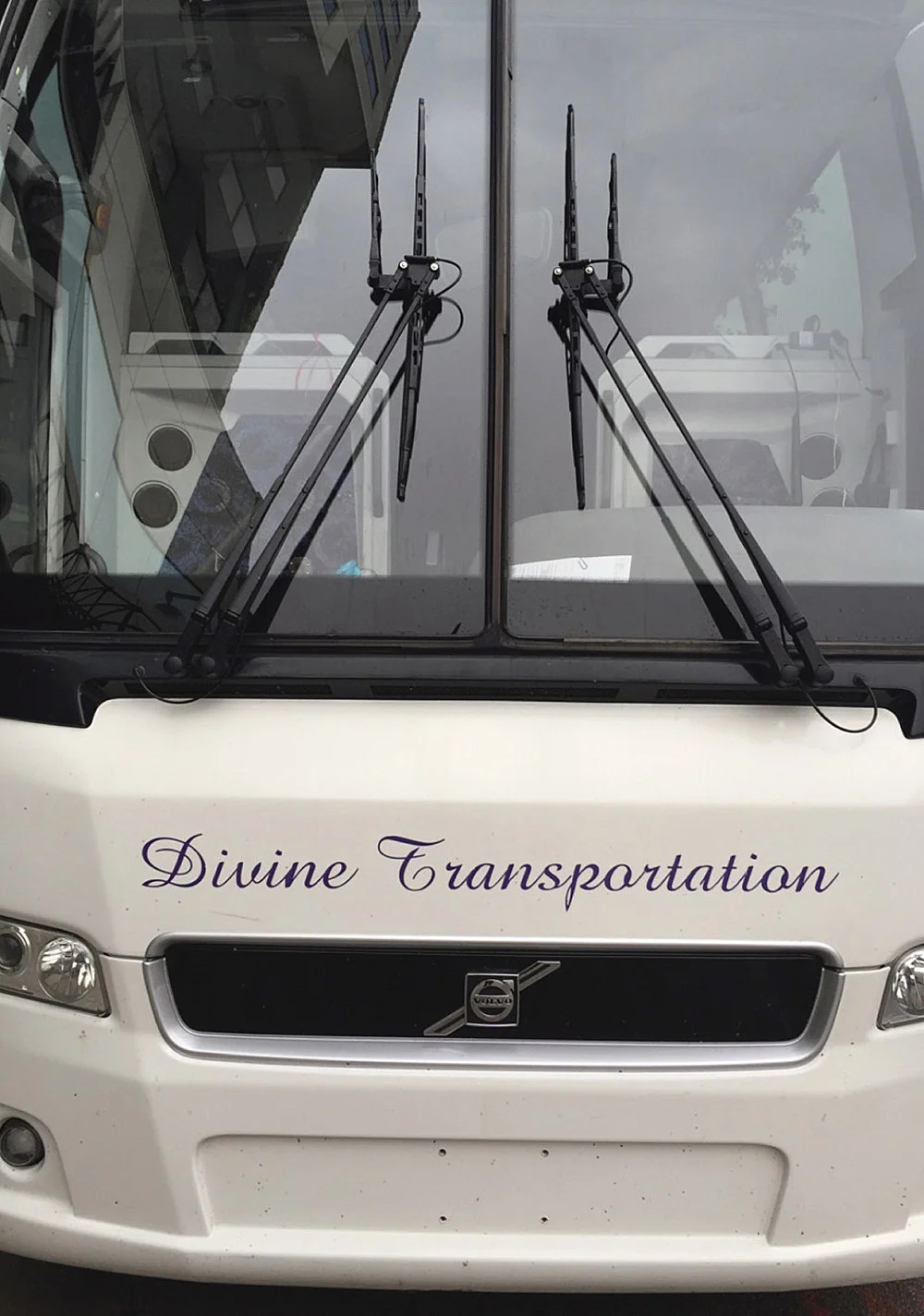 Divine Transportation — Lutz Bacher — Exhibitions — Galerie Buchholz — Image 01