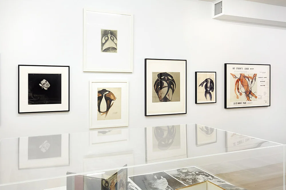 Douglas Crimp Before Pictures New York City 1967-1977 — Alvin Baltrop, Daniel Buren, The Cockettes, Joseph Cornell, Walker Evans, Jack Goldstein, Guy Hocquenghem, Peter... — Exhibitions — Galerie Buchholz — Image 00