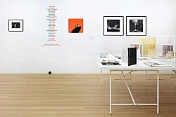 Douglas Crimp Before Pictures New York City 1967-1977 — Alvin Baltrop, Daniel Buren, The Cockettes, Joseph Cornell, Walker Evans, Jack Goldstein, Guy Hocquenghem, Peter... — Exhibitions — Galerie Buchholz — Image 171