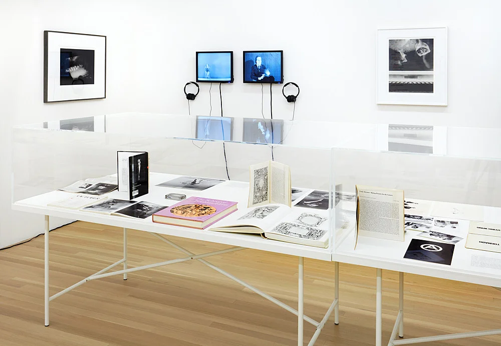 Douglas Crimp Before Pictures New York City 1967-1977 — Alvin Baltrop, Daniel Buren, The Cockettes, Joseph Cornell, Walker Evans, Jack Goldstein, Guy Hocquenghem, Peter... — Exhibitions — Galerie Buchholz — Image 00