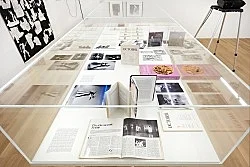 Douglas Crimp Before Pictures New York City 1967-1977 — Alvin Baltrop, Daniel Buren, The Cockettes, Joseph Cornell, Walker Evans, Jack Goldstein, Guy Hocquenghem, Peter... — Exhibitions — Galerie Buchholz — Image 192