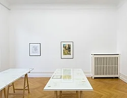 Mayo Thompson Berlin 2016 — Mayo Thompson — Exhibitions — Galerie Buchholz — Image 118