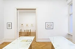 Mayo Thompson Berlin 2016 — Mayo Thompson — Exhibitions — Galerie Buchholz — Image 123