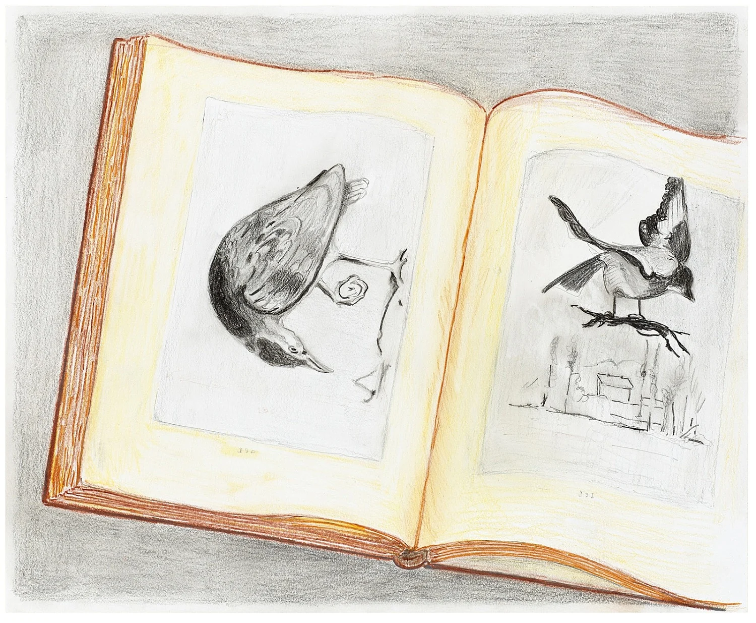 Mayo Thompson Berlin 2016 — Mayo Thompson — Exhibitions — Galerie Buchholz — Image 36