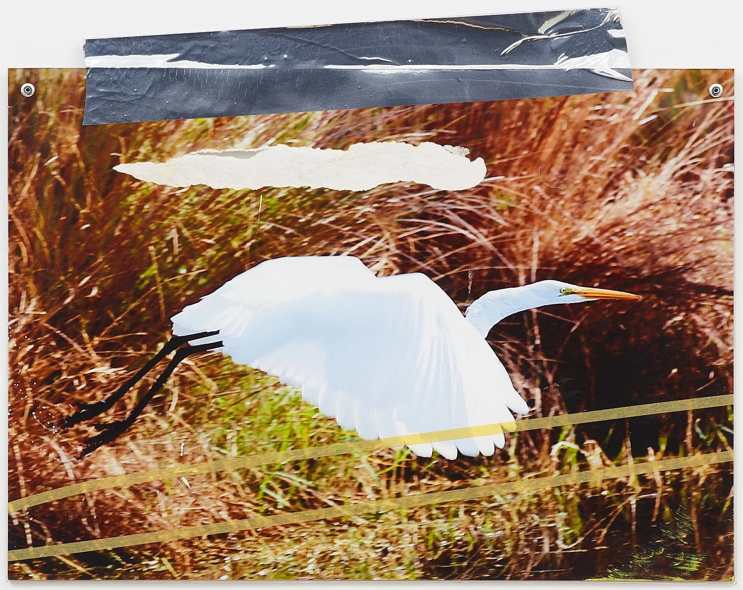 Portraits — Isa Genzken — Exhibitions — Galerie Buchholz — Image 16