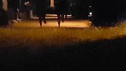 Two A.M. — Loretta Fahrenholz — Exhibitions — Galerie Buchholz — Image 30