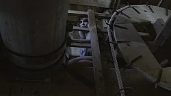 Two A.M. — Loretta Fahrenholz — Exhibitions — Galerie Buchholz — Image 19