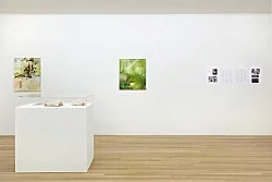 Jochen Klein New York 2017 — Jochen Klein — Exhibitions — Galerie Buchholz — Image 66