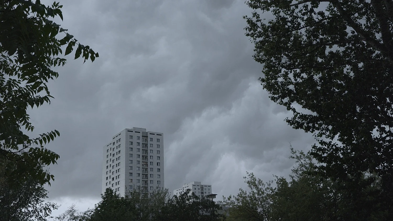 TwoAM — Loretta Fahrenholz — Exhibitions — Galerie Buchholz — Image 06