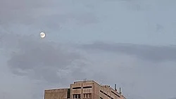 Two A.M. — Loretta Fahrenholz — Exhibitions — Galerie Buchholz — Image 24